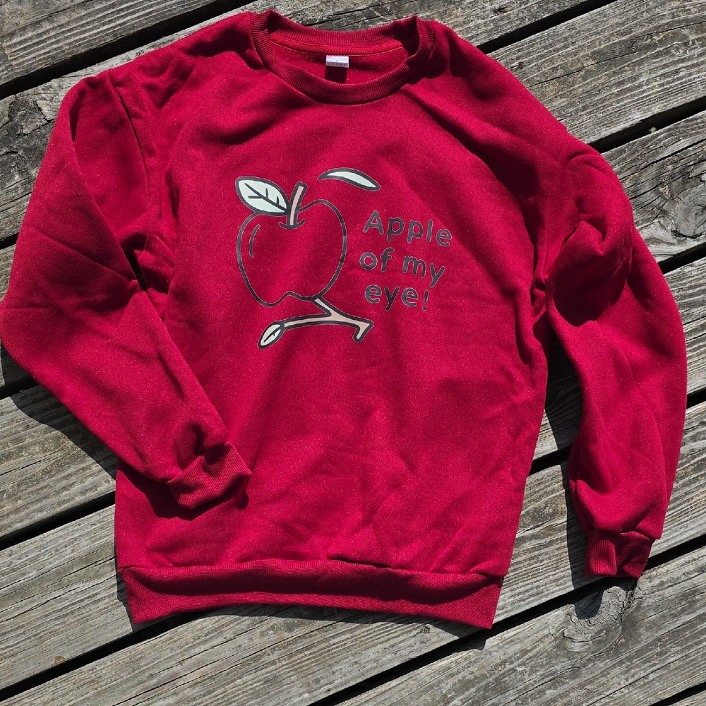 SHEIN Red Apple Graphic Crewneck Top